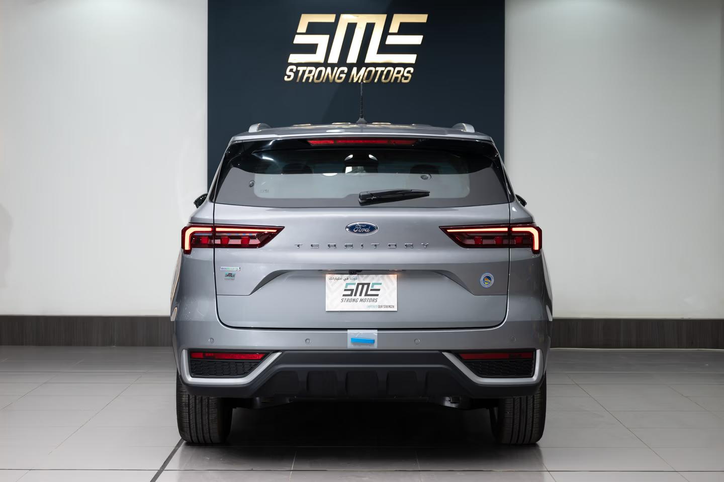 Ford Territory Ambiente Grey